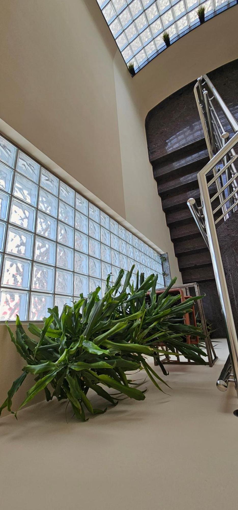 زادار Sobe/Rooms Riva المظهر الخارجي الصورة